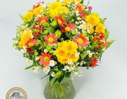 זר חרציות געגועיי