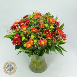 זר חרציות לב חופשי