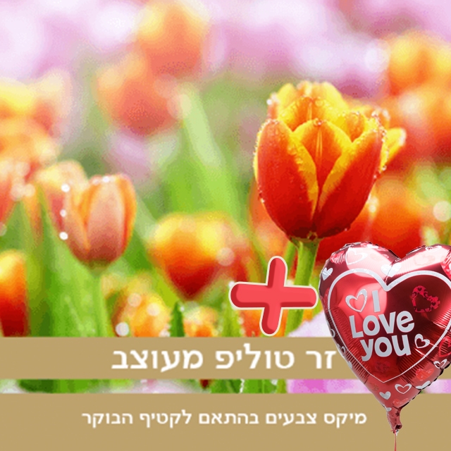 זר טוליפים בחירת המעצב+בלון אהבה