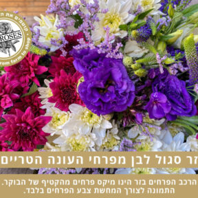 זר סגול לבן בחירת המעצב (תמונה להמחשה)