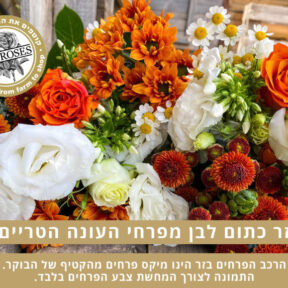 זר כתום לבן בחירת המעצב (תמונה להמחשה)